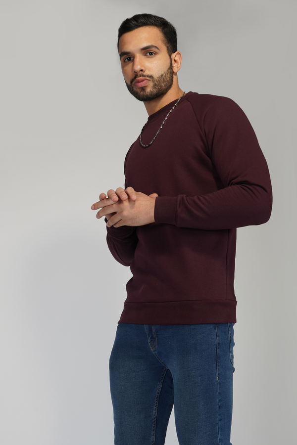 Regular Fit Sweatshirt- Wild Berry